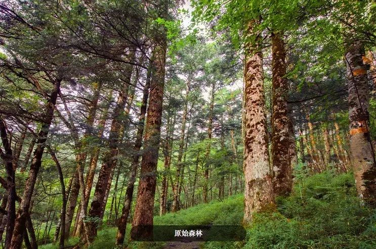 自驾武当山旅游攻略_自驾五台山旅游攻略_自驾重庆到峨眉山旅游攻略