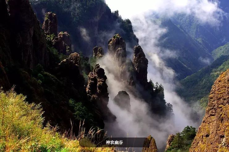 自驾五台山旅游攻略_自驾武当山旅游攻略_自驾重庆到峨眉山旅游攻略