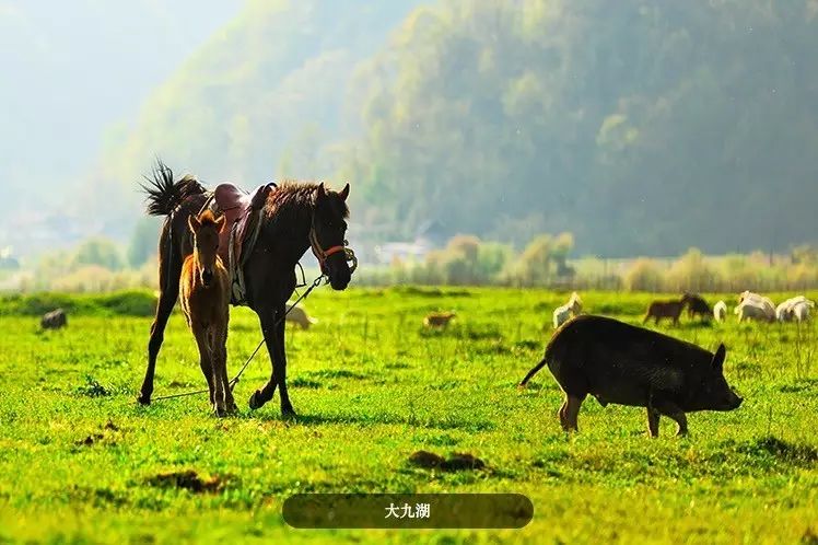 自驾武当山旅游攻略_自驾五台山旅游攻略_自驾重庆到峨眉山旅游攻略