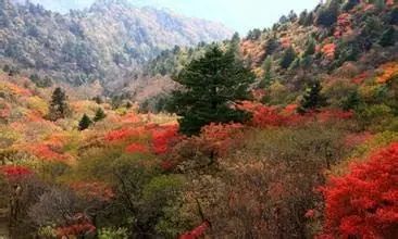 自驾武当山旅游攻略_自驾五台山旅游攻略_自驾重庆到峨眉山旅游攻略