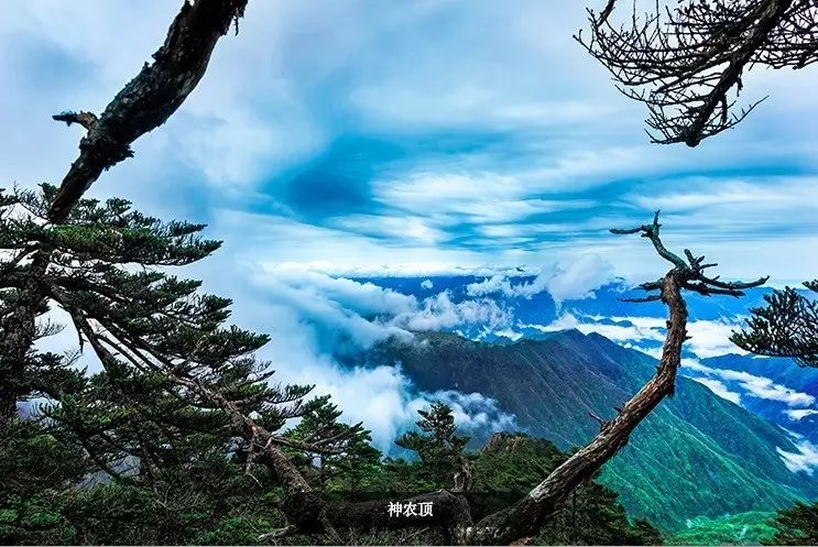 自驾武当山旅游攻略_自驾五台山旅游攻略_自驾重庆到峨眉山旅游攻略