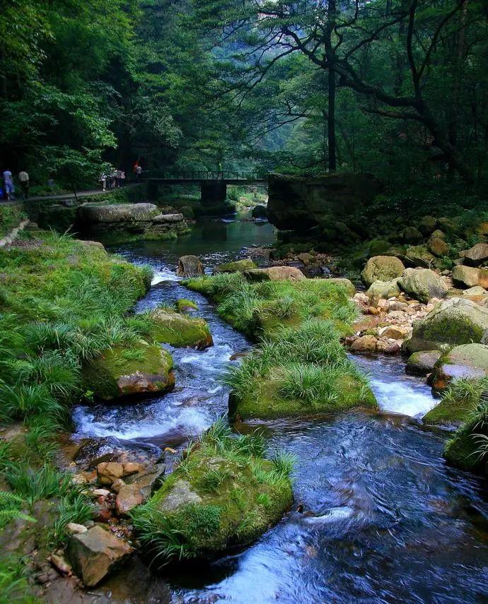 天门山和张家界国家森林公园_张家界国家森林公园和天门山哪个好玩_张家界天门山公园