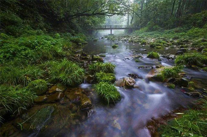 张家界天门山公园_张家界国家森林公园和天门山哪个好玩_天门山和张家界国家森林公园