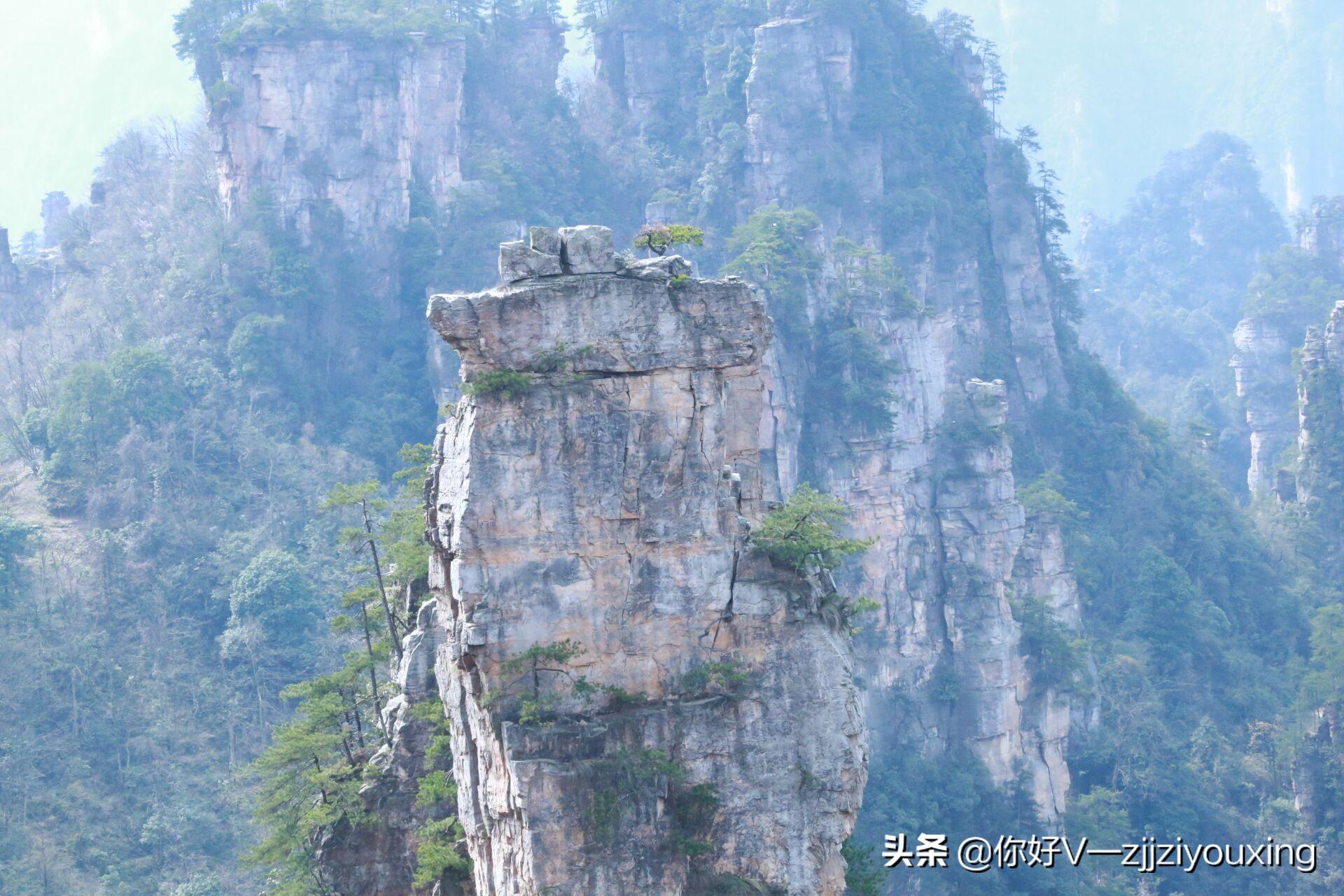 张家界国家森林公园和天门山哪个好玩_张家界天门山国家森林_张家界国家森林公园和天门山哪个好玩