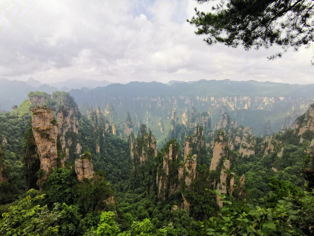 张家界天门山国家森林_张家界国家森林公园和天门山哪个好玩_张家界国家森林公园和天门山哪个好玩