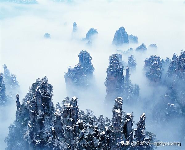 张家界国家森林公园和天门山哪个好玩_张家界国家森林公园和天门山哪个好玩_张家界天门山国家森林