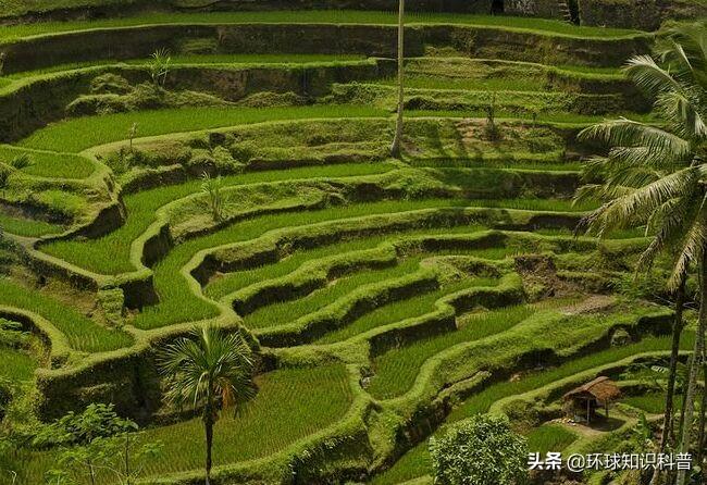 巴厘岛哪些景点好玩_巴厘岛和沙巴哪个好玩_巴厘岛好玩的景点