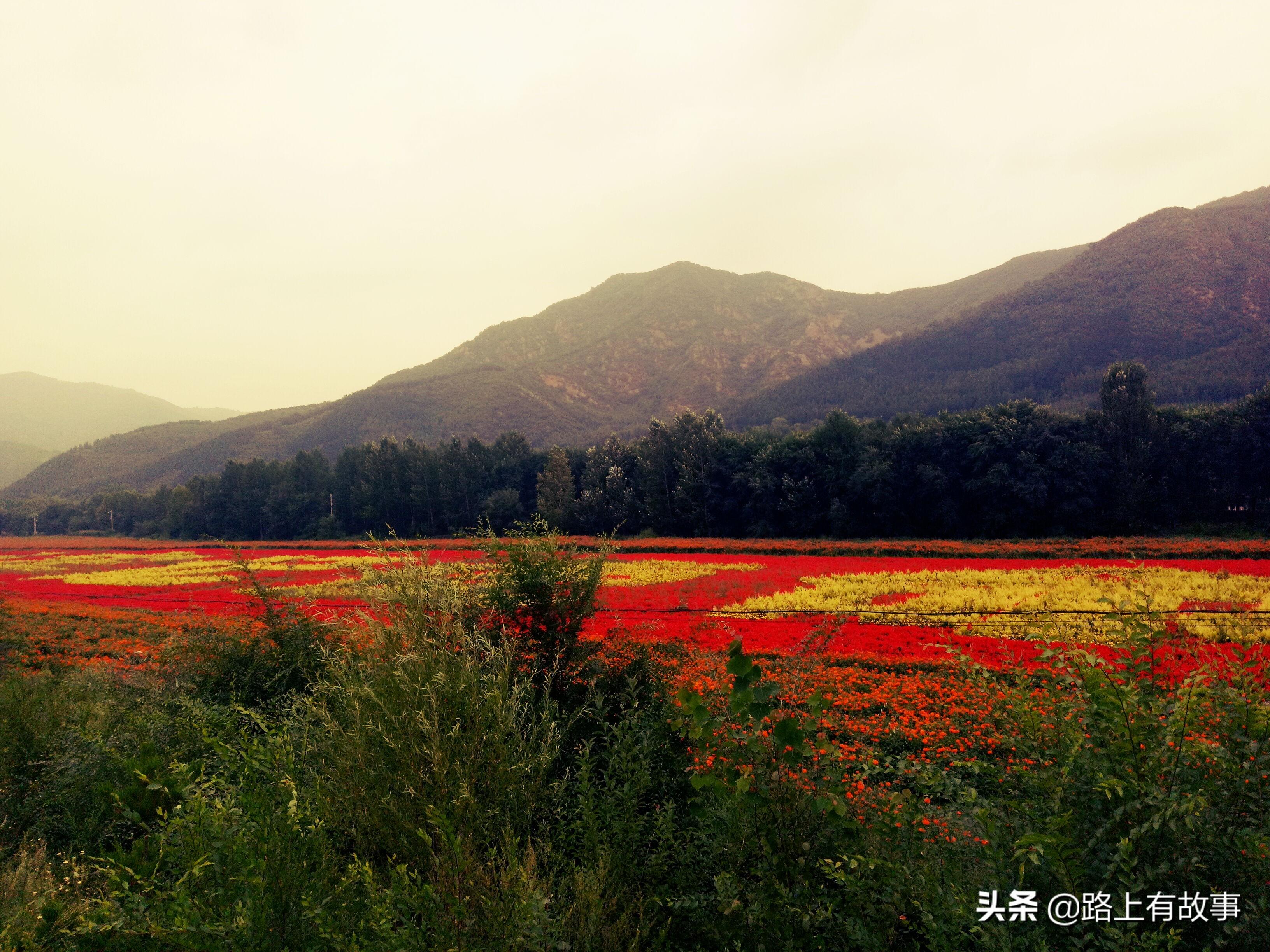 王家大院旅游攻略_家朋旅游攻略_花都王子山旅游攻略