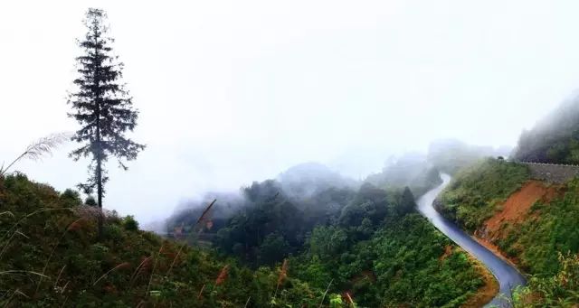 凭祥旅游攻略 自驾游_凭祥旅游攻略自驾游_凭祥旅游攻略 自驾游