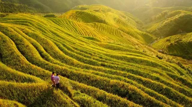 凭祥旅游攻略 自驾游_自驾穷游攻略自己做饭_西安自驾武汉游攻略