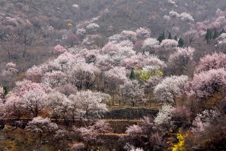 河北郭亮村旅游攻略_辉县郭亮村旅游攻略_王莽岭旅游攻略郭亮村