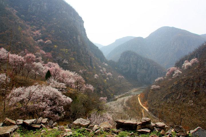 王莽岭旅游攻略郭亮村_河北郭亮村旅游攻略_辉县郭亮村旅游攻略