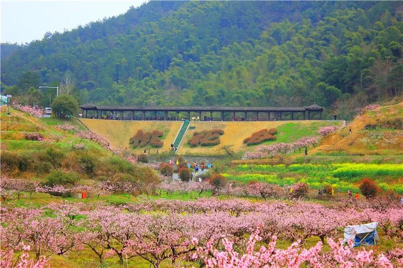 荻浦村门票_荻浦村旅游攻略_荻浦村好玩吗