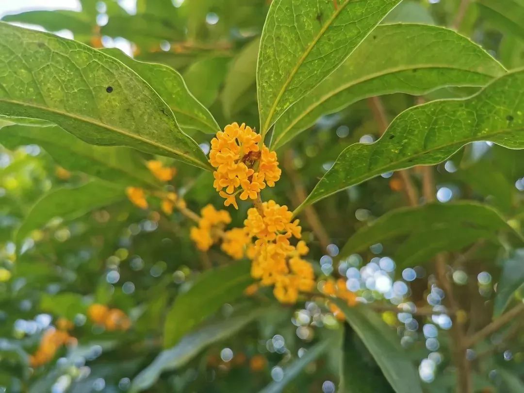 荻浦村旅游攻略_荻浦村好玩吗_荻浦村门票