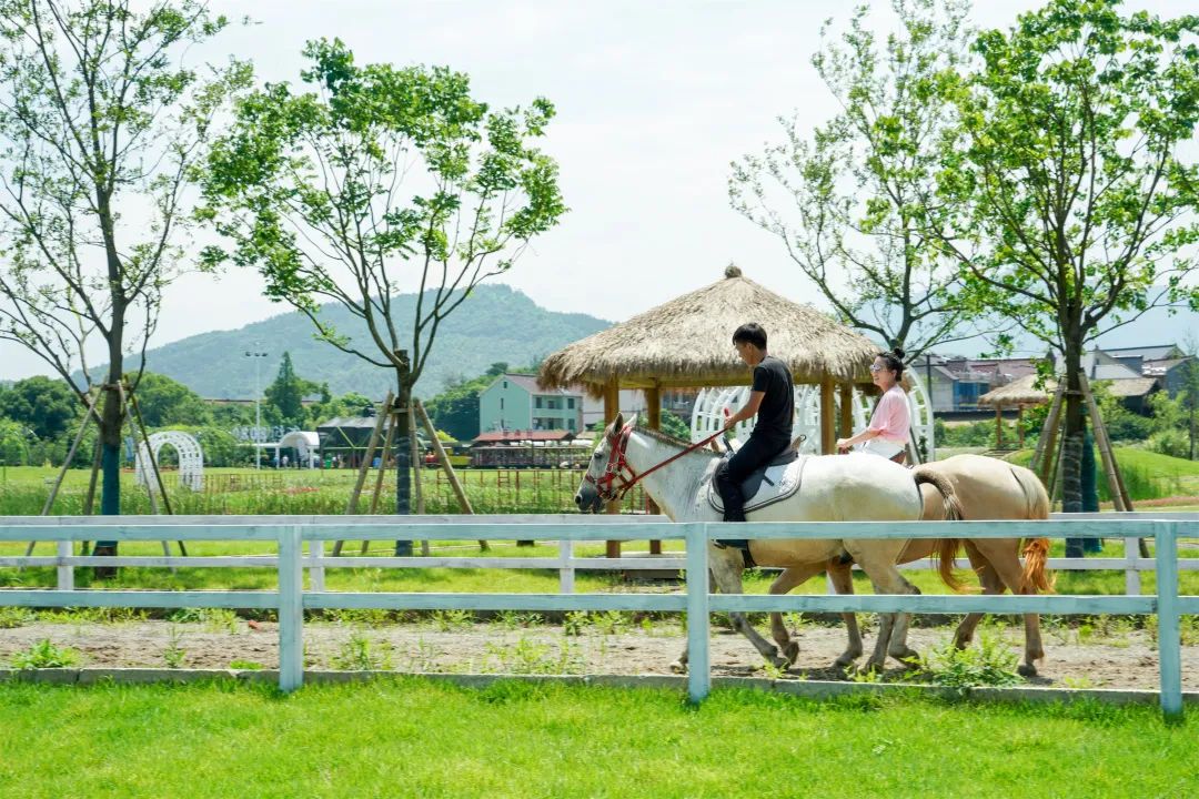 荻浦村导游词_荻浦村旅游攻略_荻浦村门票