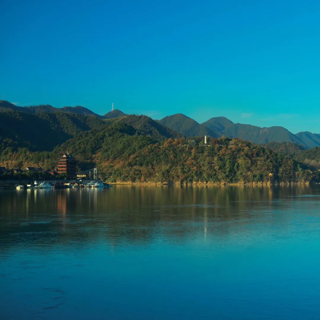 荻浦村导游词_荻浦村旅游攻略_荻浦村门票