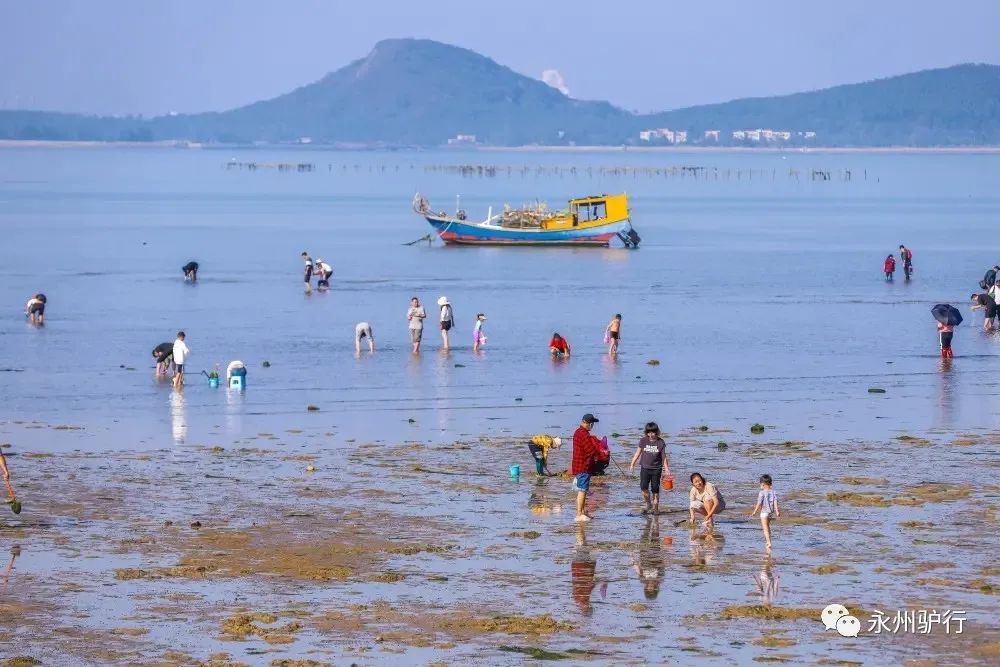 美海岸线之海陵岛闸坡镇旅游攻略_海陵岛游美篇_海陵岛美景酒店