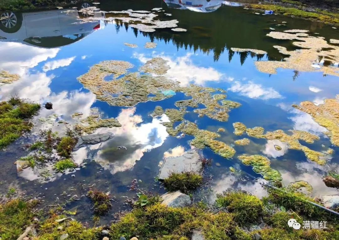 新疆旅游好玩的地方_好玩景点新疆图片_新疆好玩的景点