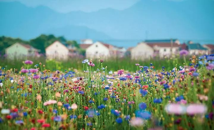 荻浦村旅游攻略_荻浦村导游词_荻浦村好玩吗