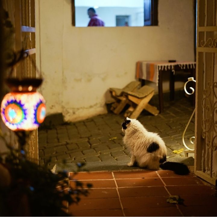 上海去土耳其跟团游多少钱_上海到土耳其旅游攻略_上海去土耳其