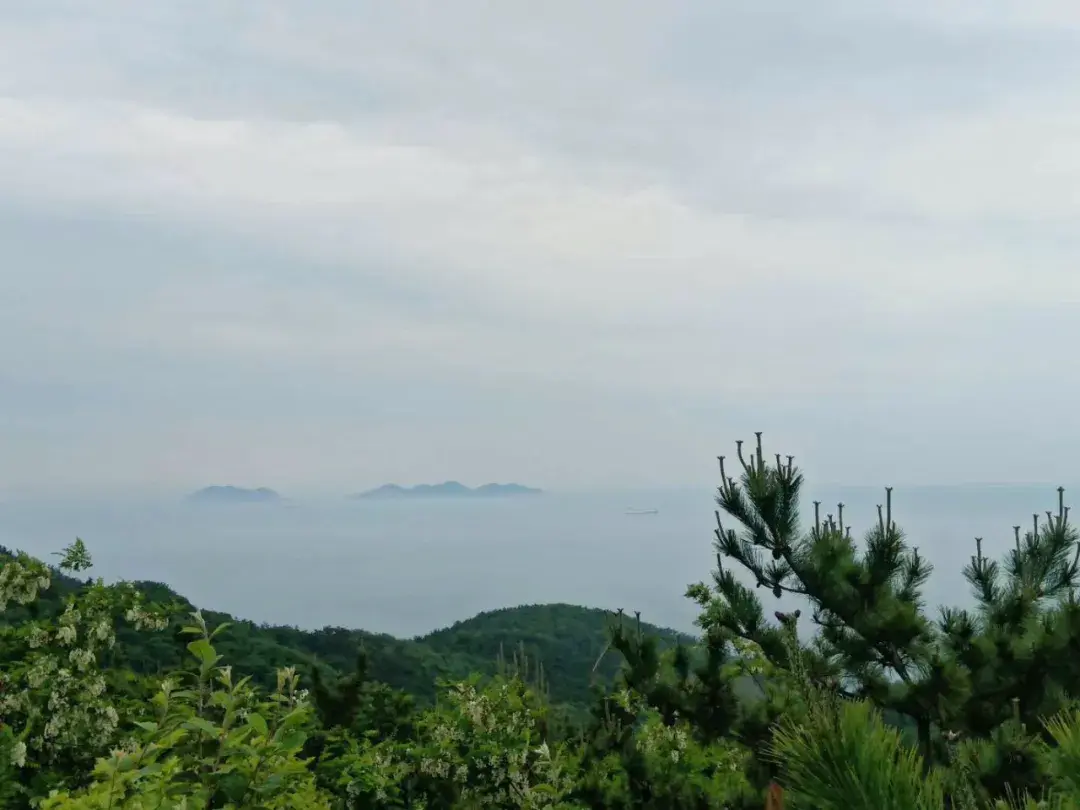 大连好玩的景点_好玩景点大连排名_大连景点游玩