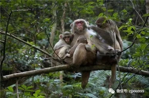 凤凰旅游景点门票价格_凤凰旅游攻略网_凤凰攻略旅游网官网