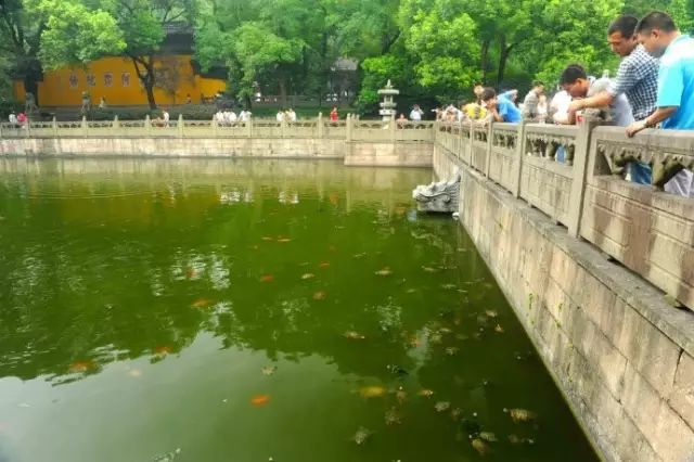 西湖3日游_西湖三日攻略旅游路线_西湖三日旅游攻略