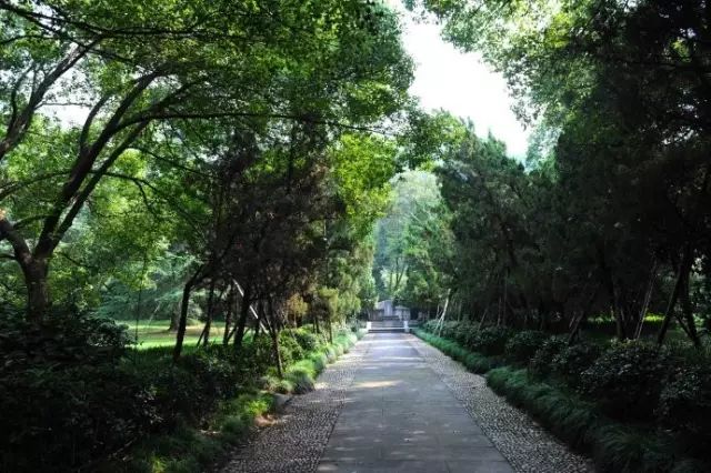 西湖三日旅游攻略_西湖3日游_西湖三日攻略旅游路线