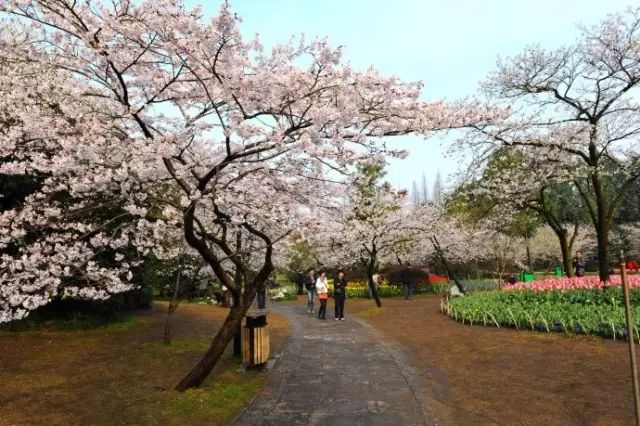 西湖3日游_西湖三日旅游攻略_西湖三日攻略旅游路线