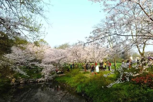 西湖三日攻略旅游路线_西湖3日游_西湖三日旅游攻略