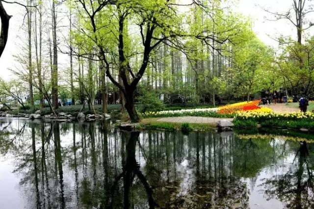 西湖三日旅游攻略_西湖三日攻略旅游路线_西湖3日游