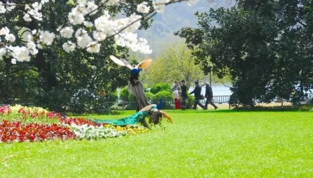 西湖三日旅游攻略_西湖3日游_西湖三日攻略旅游路线