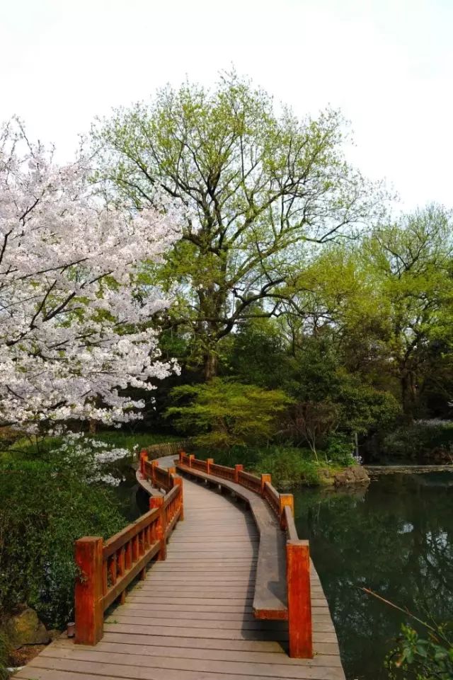 西湖三日攻略旅游路线_西湖三日旅游攻略_西湖3日游