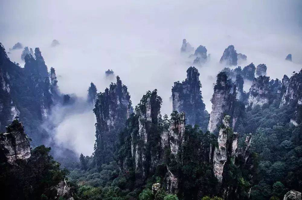 长沙到韶山半日游_长沙攻略韶山旅游到哪里_长沙到韶山旅游攻略