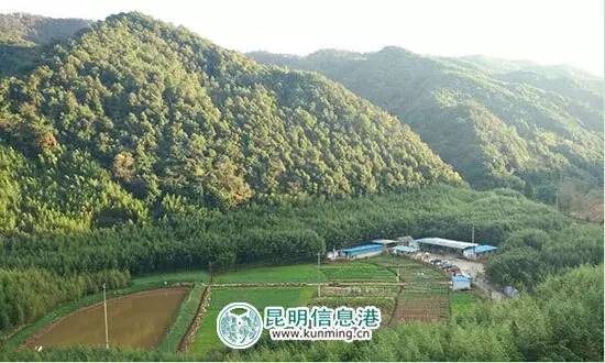 昆明自由行旅游攻略_涠洲岛旅游自由攻略_草原自由旅游攻略