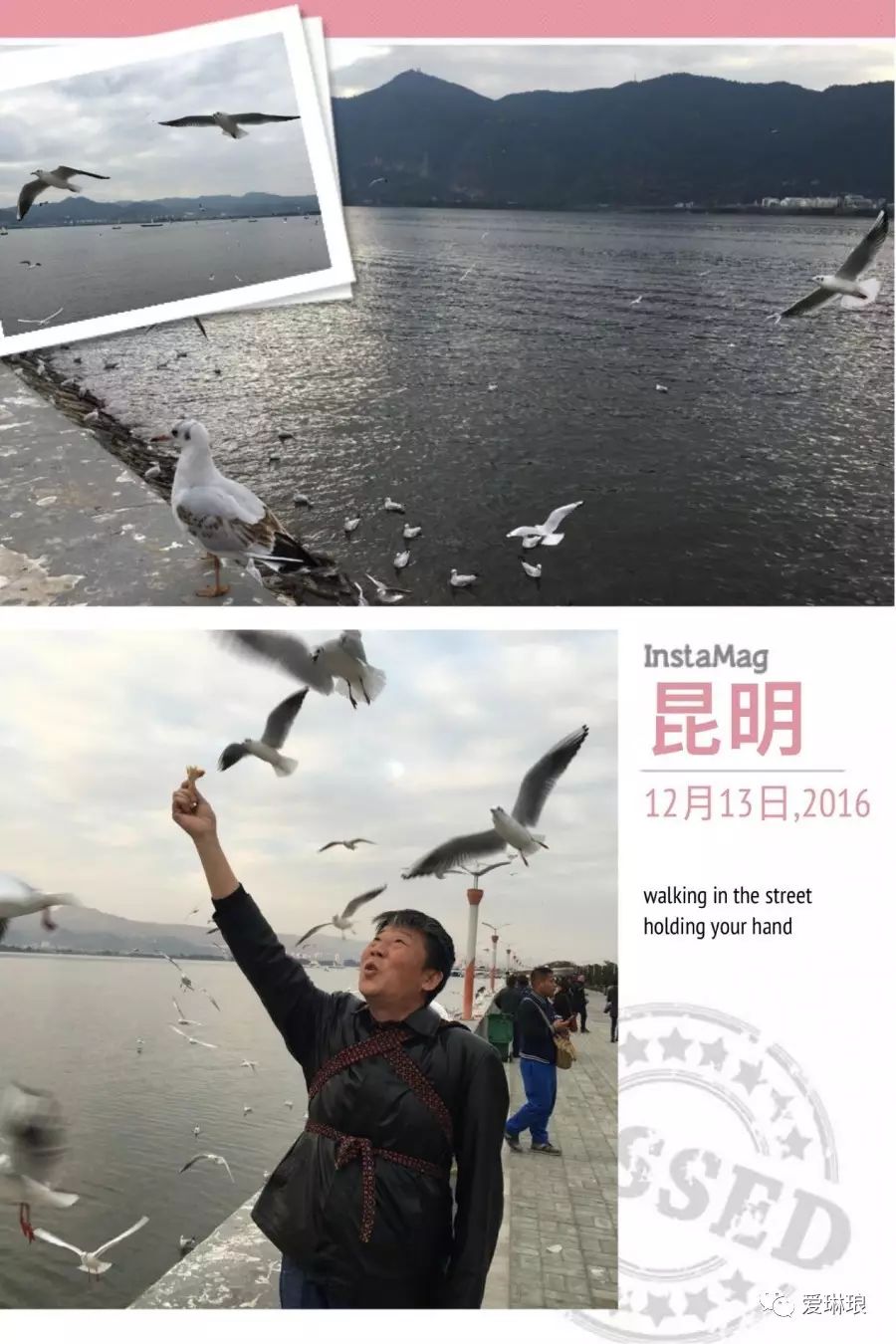 昆明自由行旅游攻略_阳江旅游攻略自由行路线_冬季北京自由旅游攻略