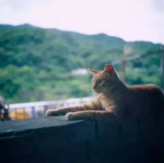 台北猫空缆车游玩攻略_台湾猫空缆车游玩攻略_台湾猫空攻略