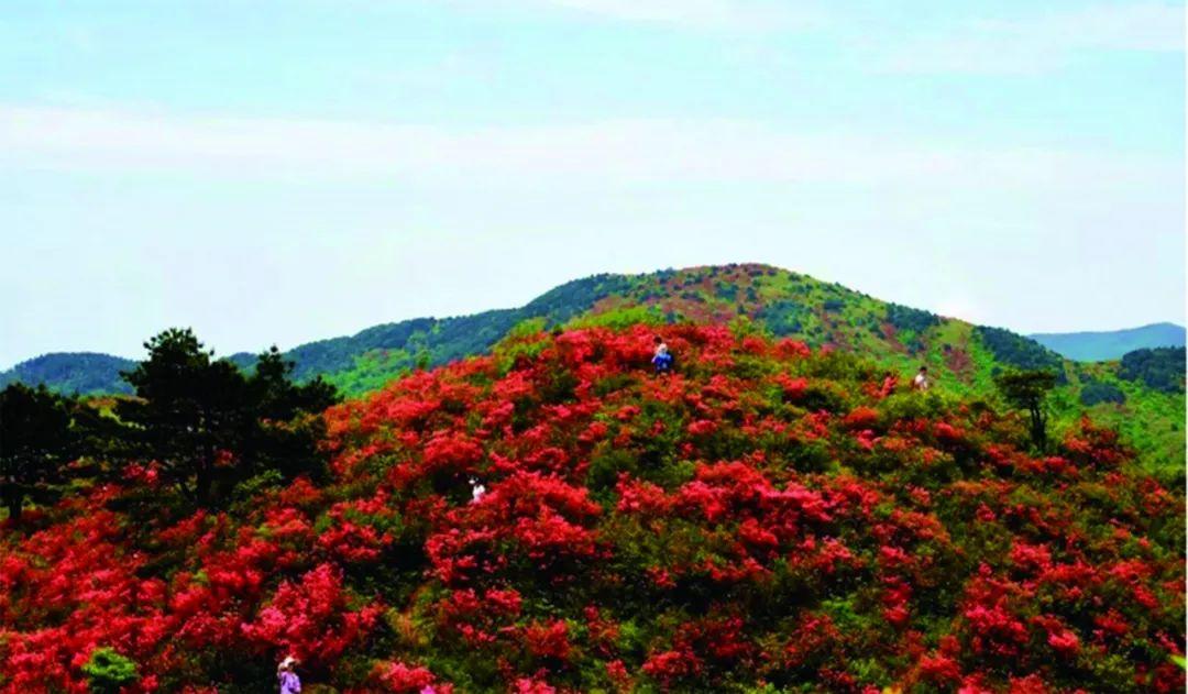 兴城到觉华岛船次_兴城觉华岛旅游攻略_兴城觉华岛旅游攻略