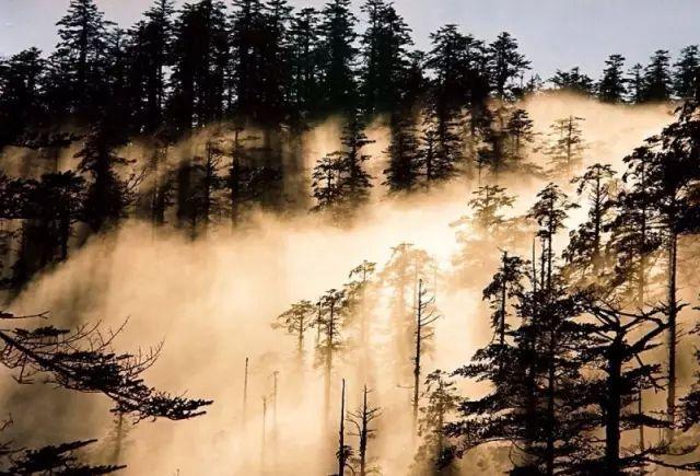 景德镇到婺源去三清山旅游攻略_去洪雅旅游攻略_西安去五台山旅游攻略