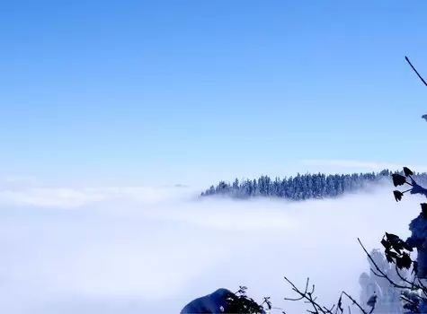 去洪雅旅游攻略_西安去五台山旅游攻略_景德镇到婺源去三清山旅游攻略