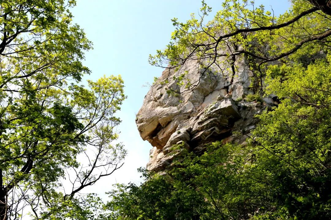 长春旅游攻略 长影世纪城_长春旅游攻略必玩的景点_长春到向海旅游攻略