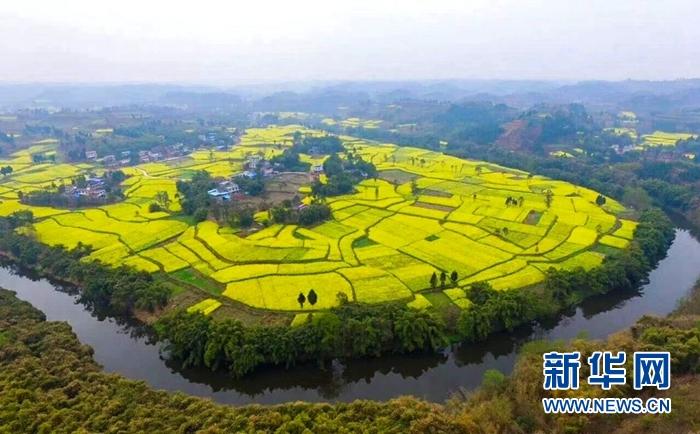 洪雅七里坪旅游攻略_春节去涠洲岛旅游攻略_去洪雅旅游攻略