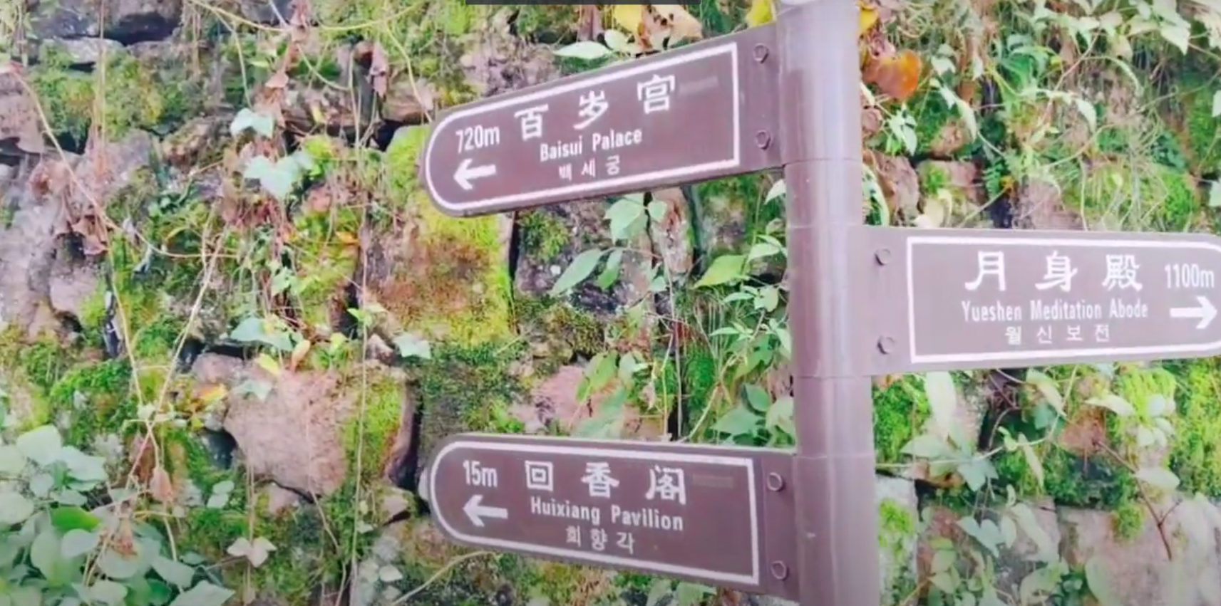 黄山宏村旅游攻略_九华天池风景区旅游攻略_黄山九华山旅游攻略