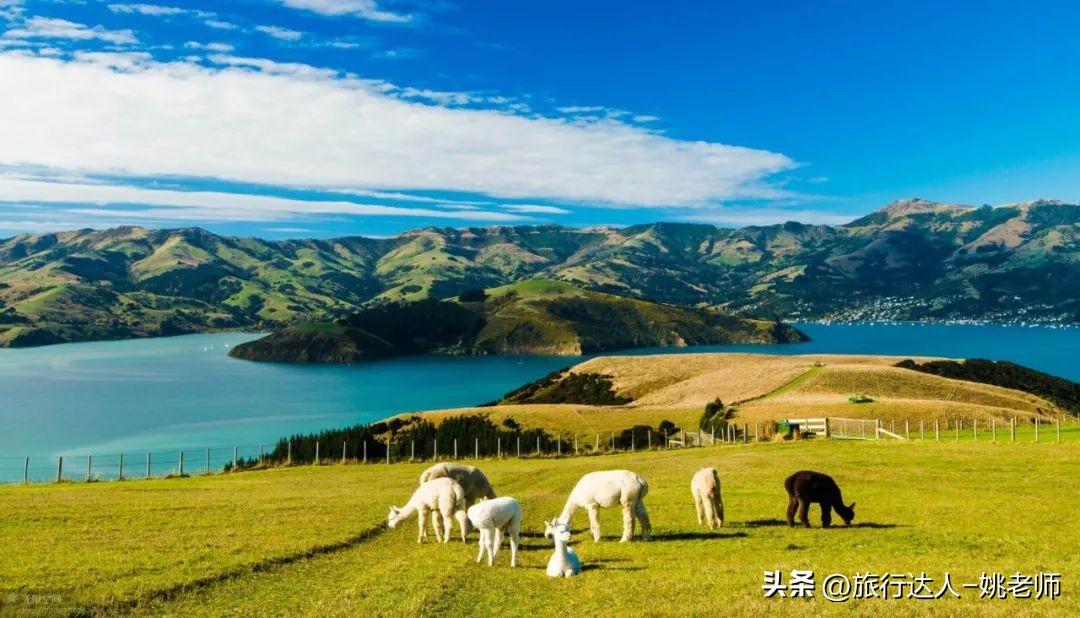 夏天去哪个国家旅游好_夏天适合去哪里旅游国外_夏天国外旅游适合去的地方