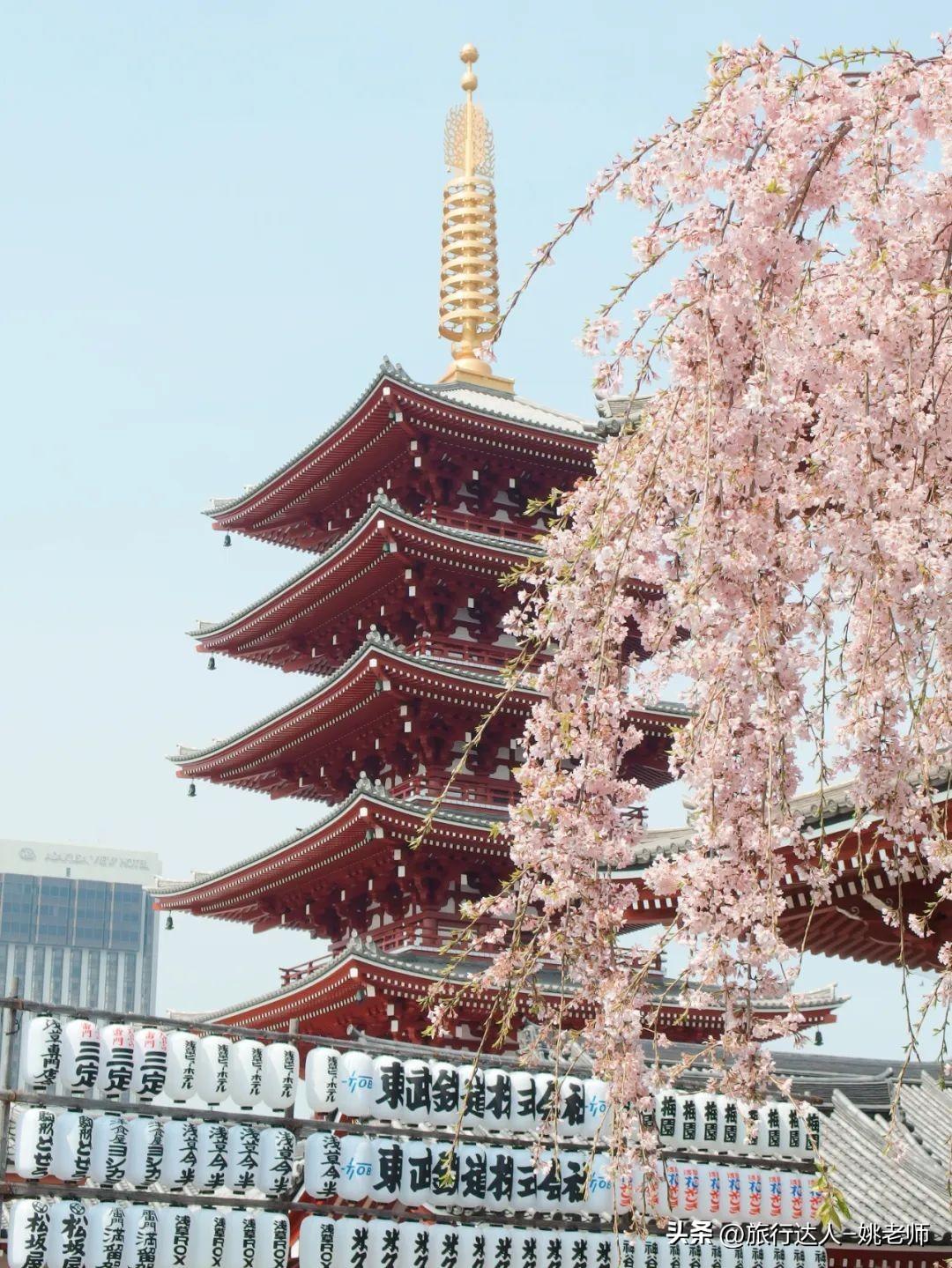 夏天去哪个国家旅游好_夏天国外旅游适合去的地方_夏天适合去哪里旅游国外