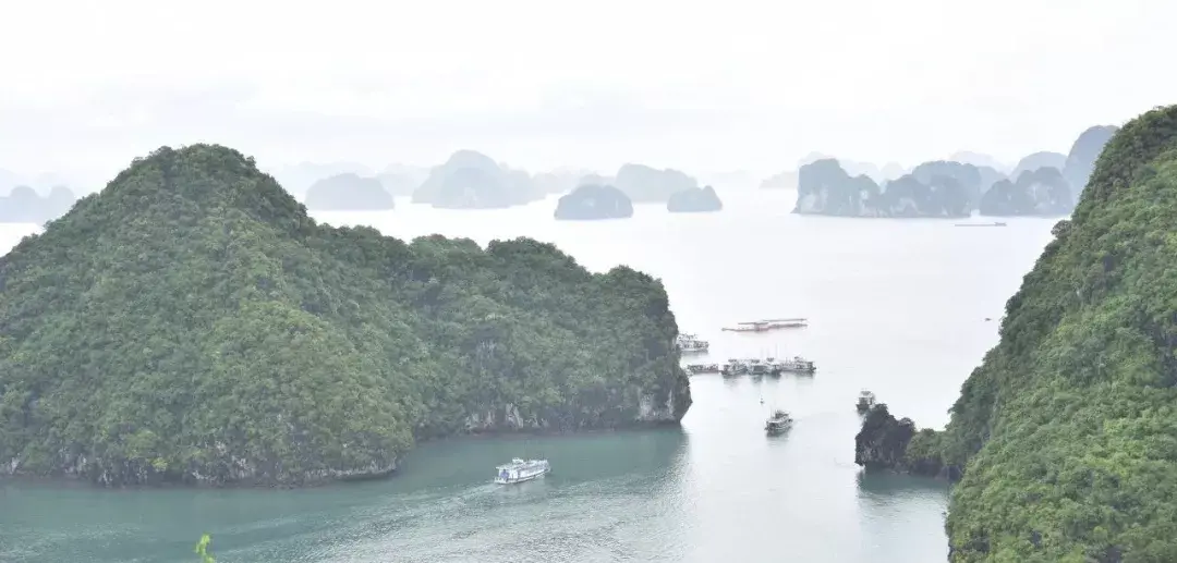 商务邮轮出国旅游_出国商务邮轮旅游多少钱_出境邮轮