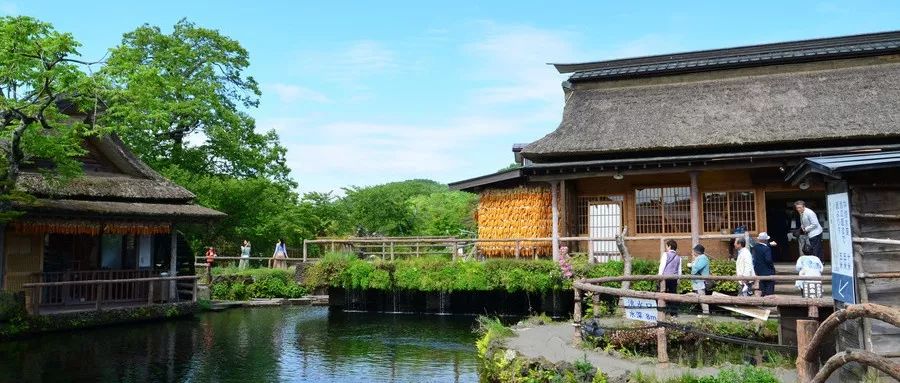 日本静冈县游玩攻略_日本静冈风景图片_日本静冈旅游攻略