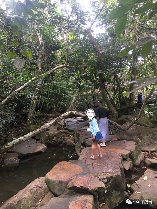 三亚攻略旅游自由行怎么玩_三亚自由行旅游攻略_三亚攻略旅游自由行5天