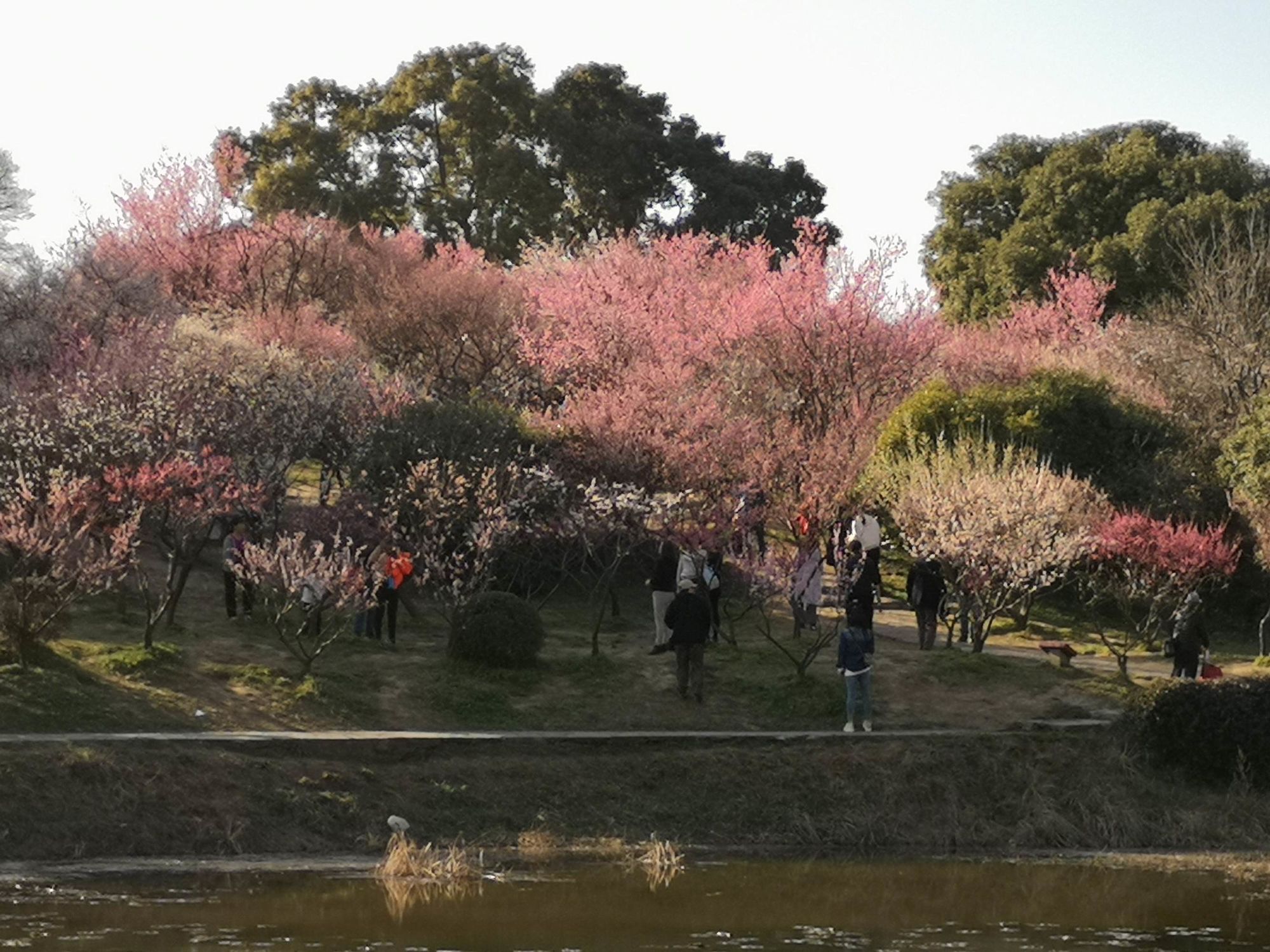 上海室内的景点推荐_上海好玩的室内景点_上海玩的景点有哪些室内