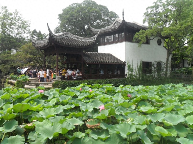 沈阳到鲅鱼圈旅游攻略_上海到婺源旅游攻略_沈阳到婺源旅游攻略